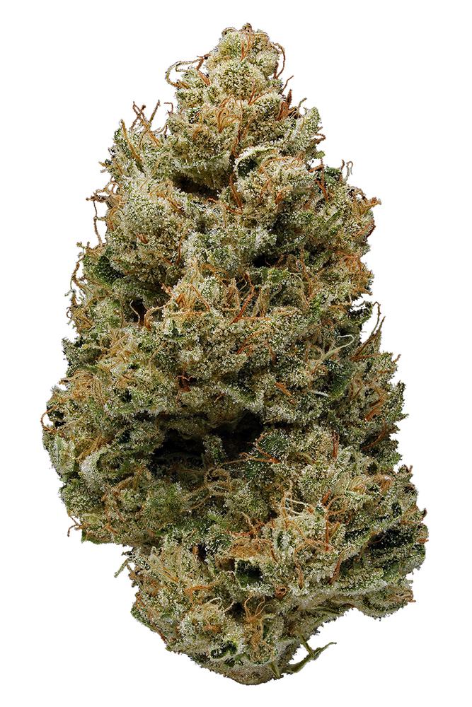 Banana-Kush