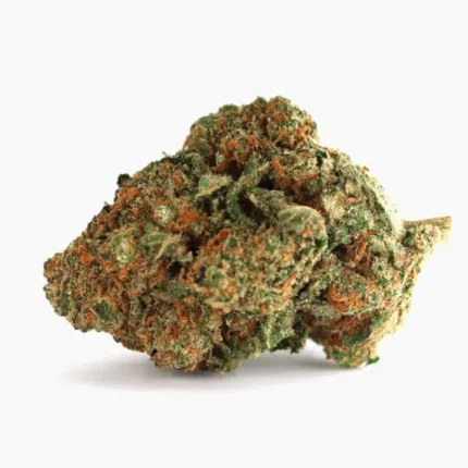 Buy Blueberry Online