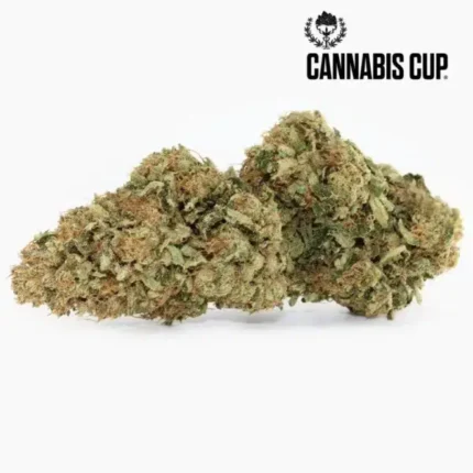 Buy Dark Saphir Online