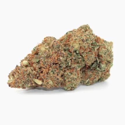 Buy Jack Herer Online