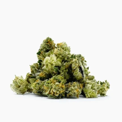 Buy Minibud Premium Superskunk Online