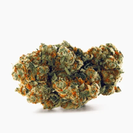 Buy Amnesia Online
