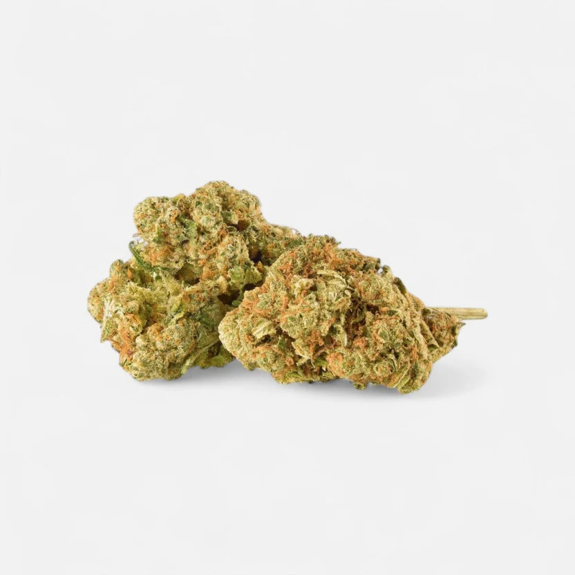 amnesia-superior-bluete-40-blueten-6327407