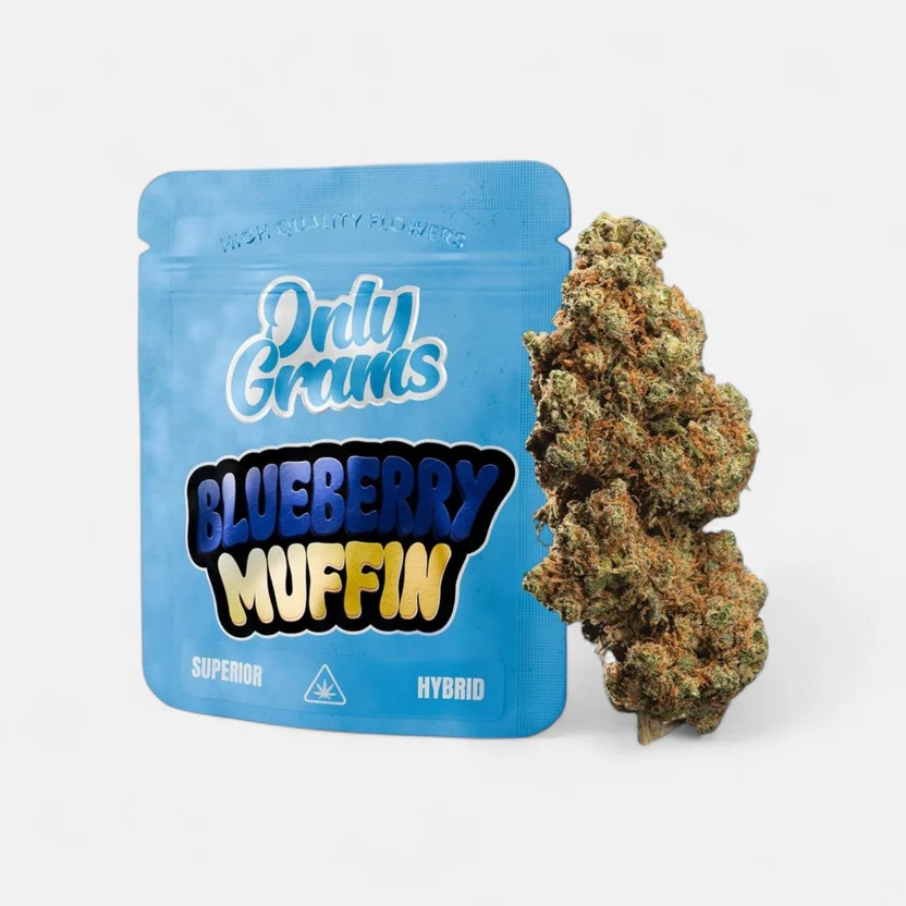 blueberry-muffin-superior-bluete-40-blueten-3730123