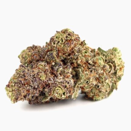 Buy Drizzle Online