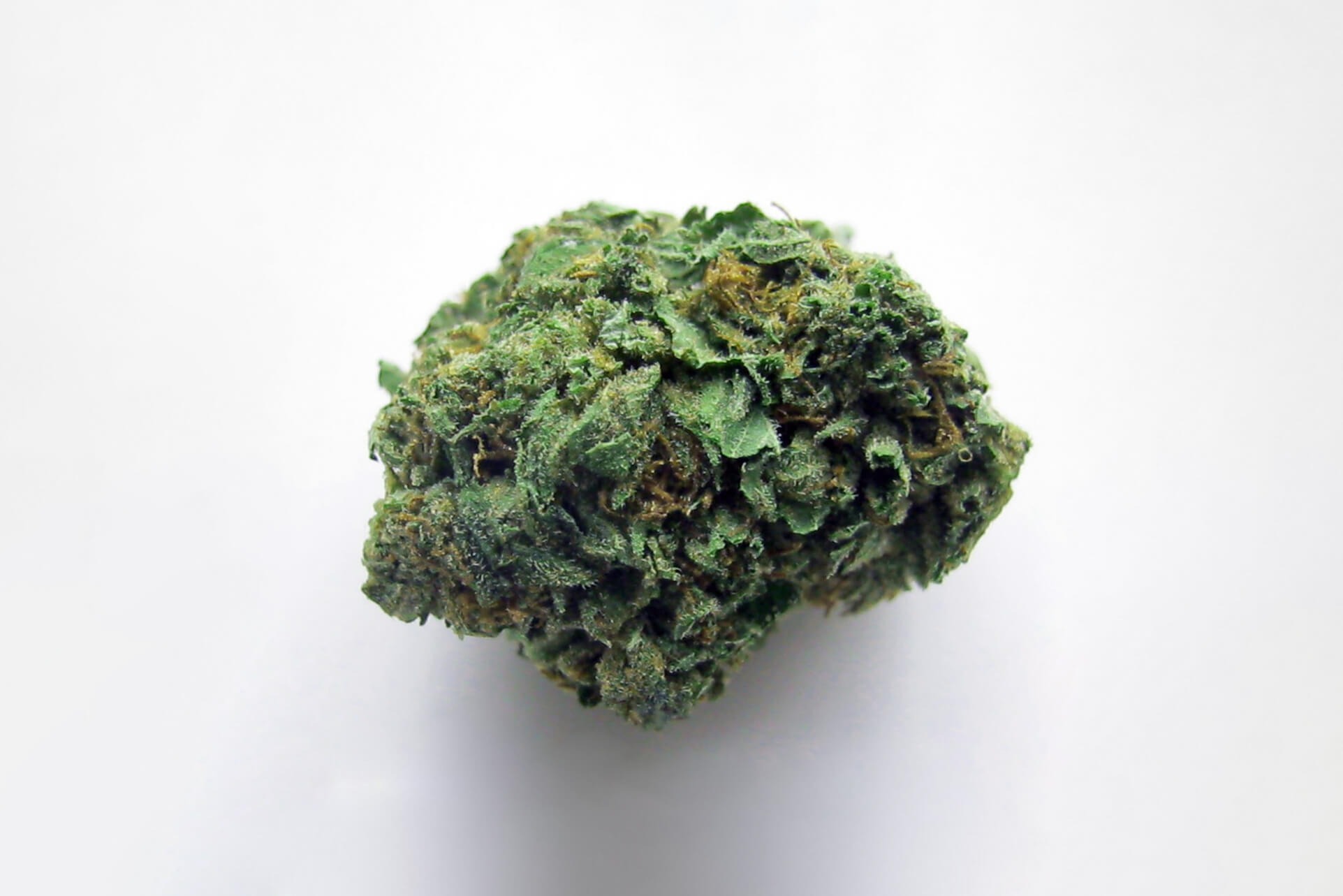 Bubba Kush Wirkung Bubba Kush Wirkung