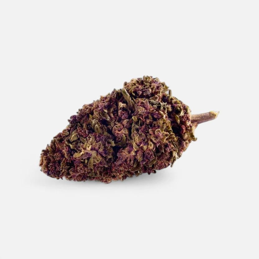 purple-kinky-kush-superior-bluete-40-blueten-1148694