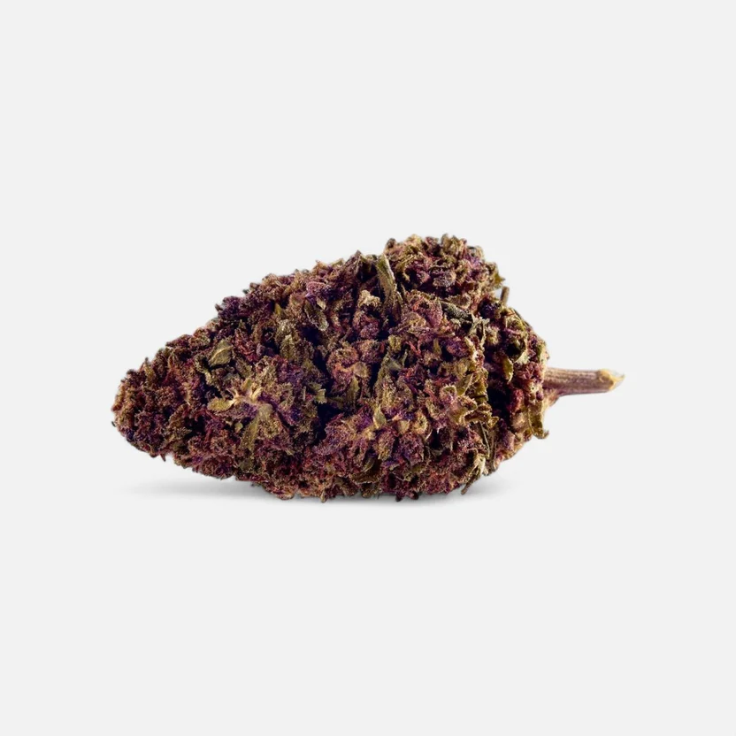 sexy-groovy-purple-blueten-3517625