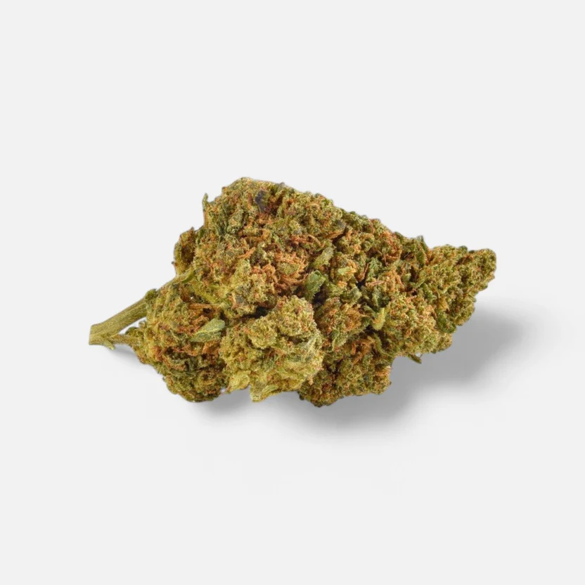 strawberry-haze-superior-bluete-55-blueten-6599423