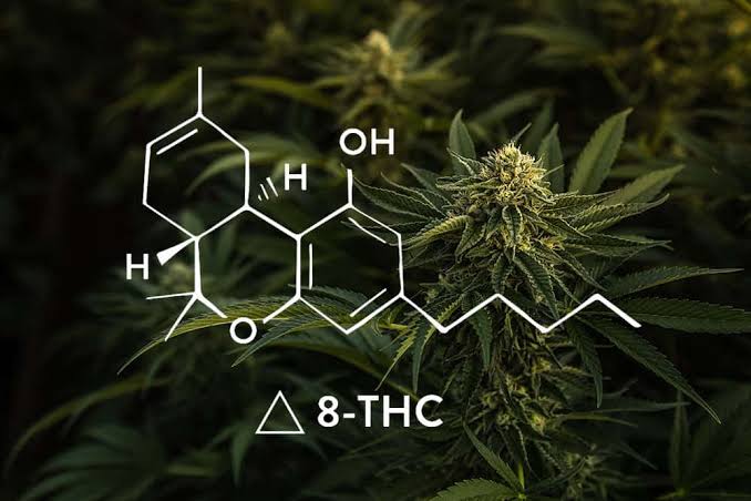Buy Delta 8 THC Online