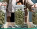 Buy Cannabis in Deutschland 2026