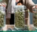 Buy Cannabis in Deutschland 2026