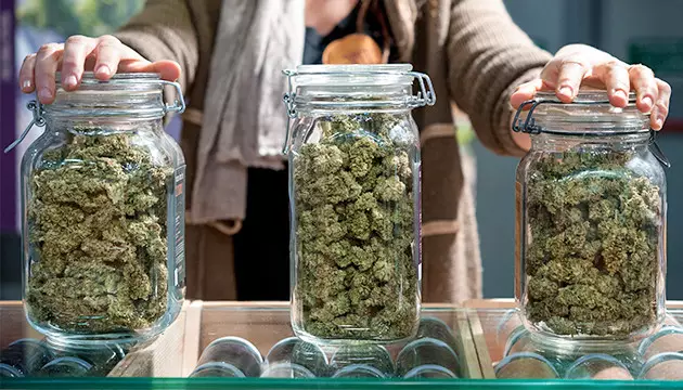 Buy Cannabis in Deutschland 2026